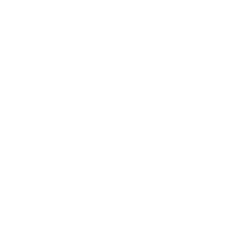 Company 13