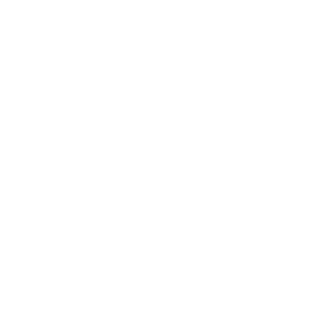 Company 15
