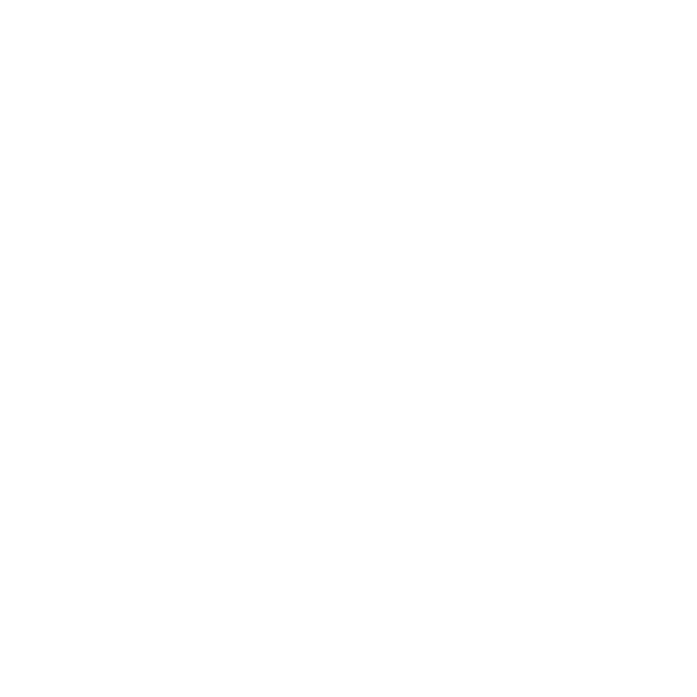 Company 17